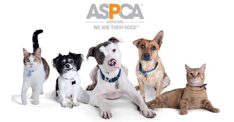 customized brakes replacement